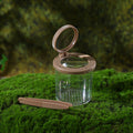 Insect Observation Tank Observation Box Outdoor Toys