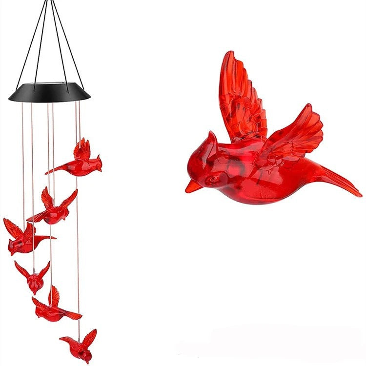 Solar Powered Outdoor Decorative Light