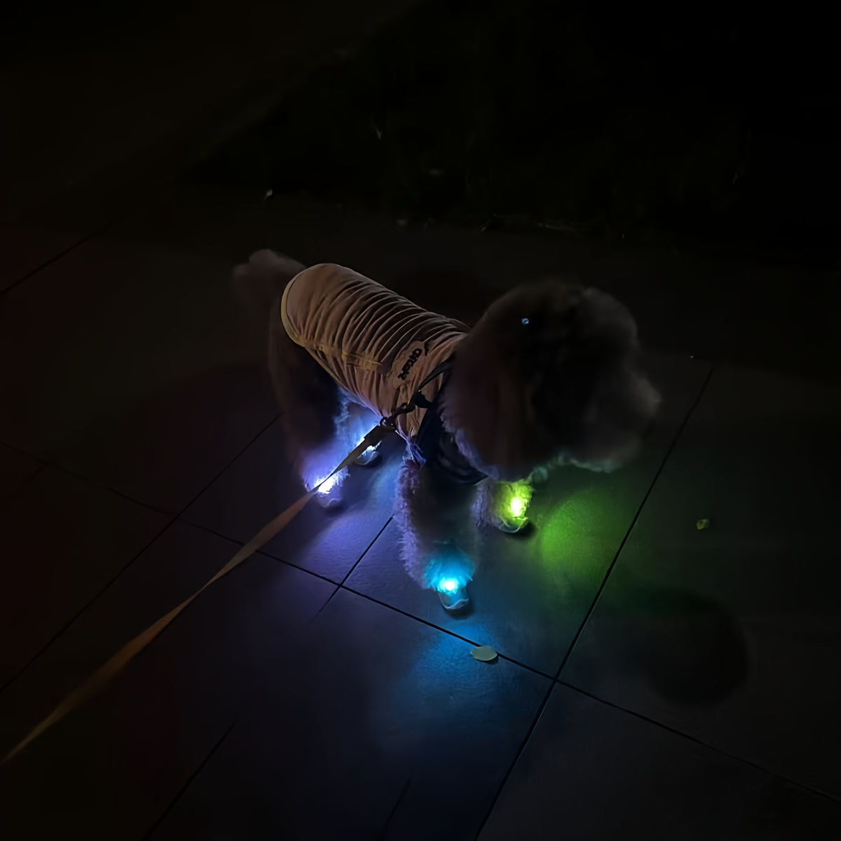 Dog Shoes with Cool Gradient Flashing Lights
